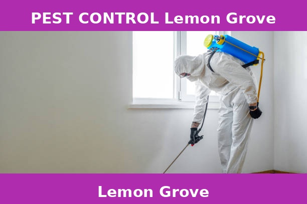 PEST CONTROL Lemon Grove